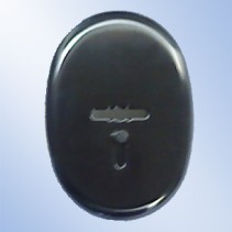 РХ 21ш 